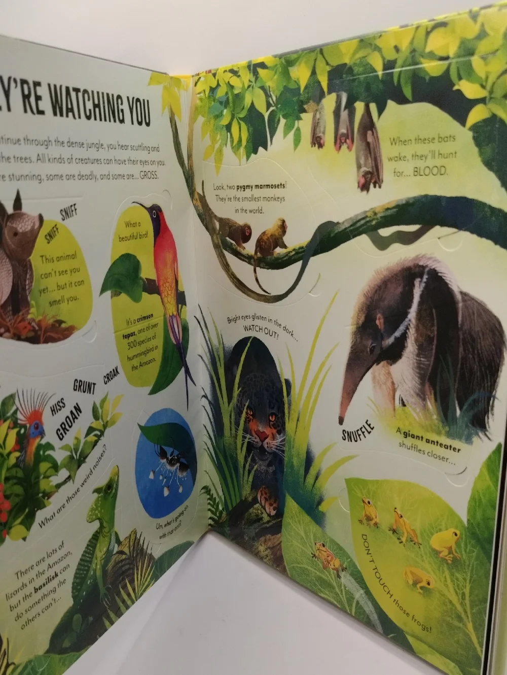 Extreme Planet Journey Through The Amazon A Lift-the-Flap Book NEW